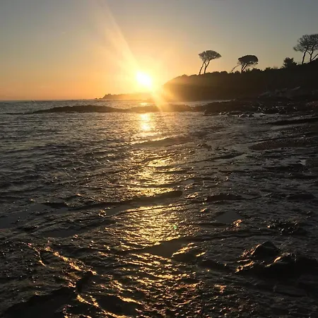 Le Terrazze Sul Mare - Capo Apartament